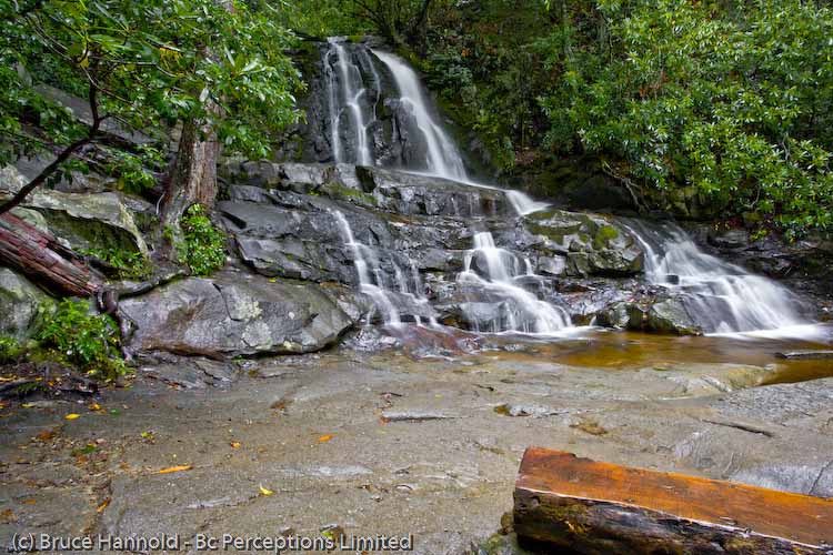 LAUREL FALLS IN RAIN 1
